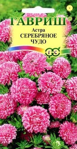 Семена. Астра «Серебряное чудо», 0,3 г | Астры | Гавриш