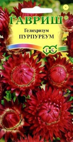 Семена. Гелихризум «Пурпуреум», 0,2 г