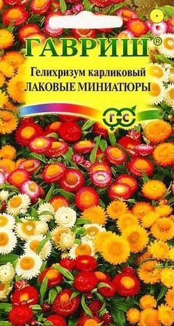 Гелихризум карликовый «Лаковые миниатюры», 0,1 гСемена. Гелихризум «Огненный шар», 0,2 г