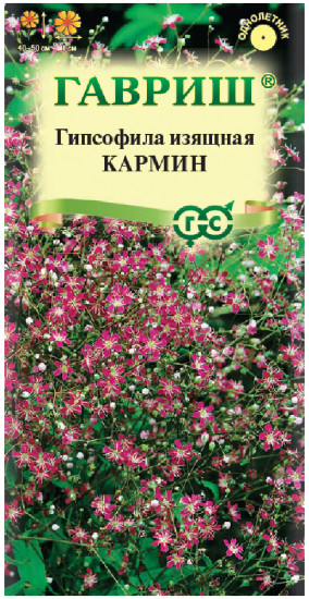 Семена. Гипсофила изящная «Кармин»