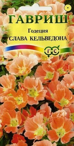 Семена. Годеция «Слава Кельведона», 0,1 г