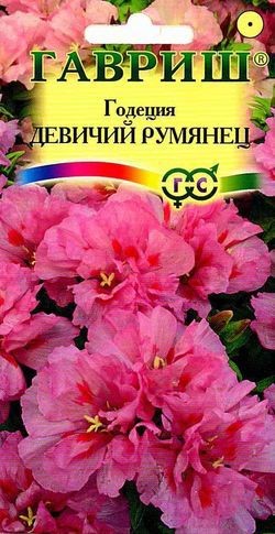 Семена. Годеция «Девичий румянец», 0,1 г