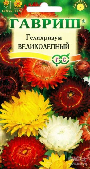 Семена. Гелихризум «Великолепный», смесь, 0,2 г