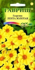 Семена. Георгина «Лента золотая», 0,2 г