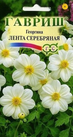 Семена. Георгина «Лента серебряная», 0,2 г