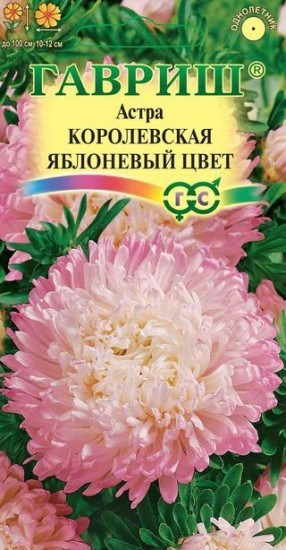 Семена. Астра «Королевская яблоневый цвет», 0,3 г