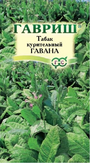 Семена. Табак курительный «Гавана», 0,01 г
