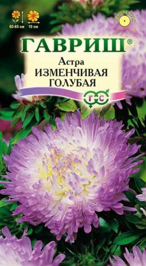 Семена. Астра «Изменчивая голубая», 0,3 г