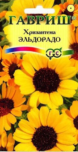 Семена. Хризантема «Эльдорадо», 0,5 г