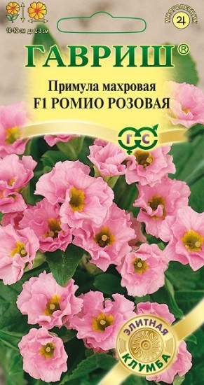 Семена. Примула махровая «F1 Ромио розовая», 3 шт
