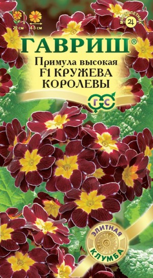 Семена. Примула высокая «F1 Кружево королевы», 5 шт