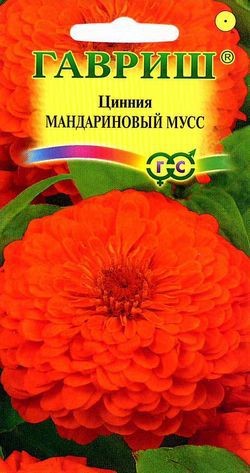 Семена. Цинния «Мандариновый мусс», 0,3 г