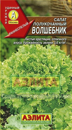Семена. Салат листовой «Волшебник», 0,5 г