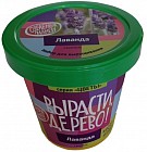 Набор для выращивания «Лаванда»