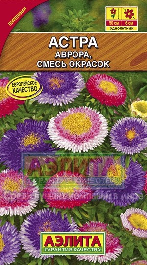 Семена. Астра «Аврора», смесь, 0,2 г