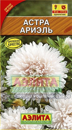 Семена. Астра «Ариэль», 0,2 г