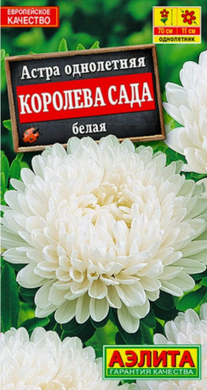 Семена. Астра «Королева сада белая», 0,2 г