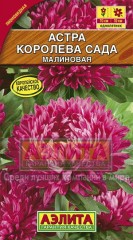Семена. Астра «Королева сада» малиновая, 0,2 г