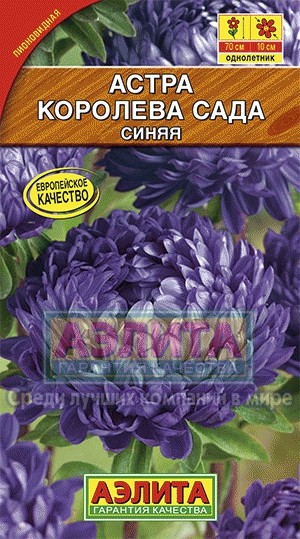 Семена. Астра «Королева сада» синяя, 0,2 г