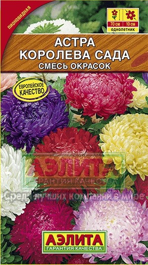 Семена. Астра «Королева сада» смесь, 0,2 г