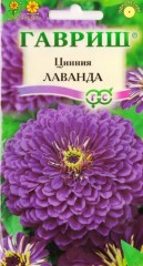 Семена. Цинния изящная «Лаванда», 0,5 г