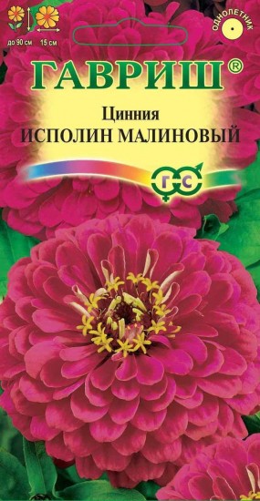 Семена. Цинния «Исполин Малиновый», 0,3 г