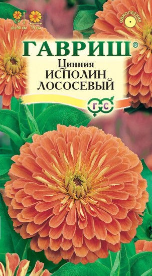 Семена. Цинния «Исполин Лососевый», 0,3 г