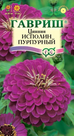 Семена. Цинния «Исполин Пурпурный», 0,3 г