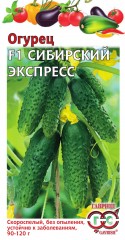 Семена. Огурец « F1 Сибирский экспресс», 10 шт