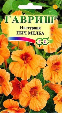 Семена. Настурция «Пич Мелба», 8 шт