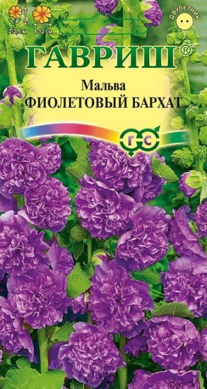 Семена. Мальва «Фиолетовый бархат»,  0,1 г