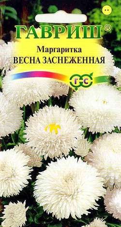 Семена. Маргаритка «Весна Заснеженная», 0,05 г