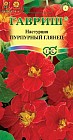 Семена. Настурция «Пурпурный Глянец», 1 г
