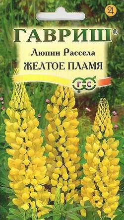 Семена. Люпин Рассела «Желтое пламя», 0,5 г