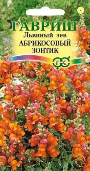 Семена. Львиный зев «Абрикосовый зонтик», 0,1 г