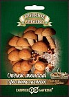 Мицелий грибов. Опенок японский «Фолиата Намеко» на древесных палочках, 12 шт