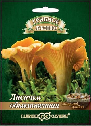 Мицелий грибов. Лисичка обыкновенная в субстрате, 15 мл