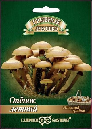 Опенок летний на древесных палочках, 12 шт