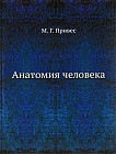Анатомия человека