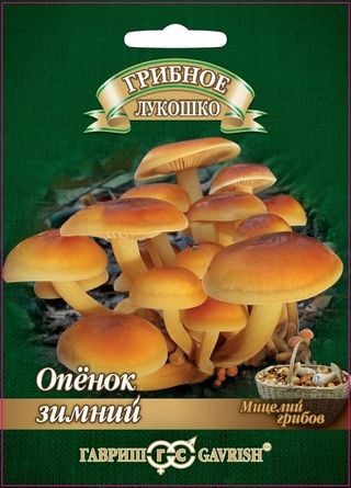 Опенок зимний, на древесных палочках, 12 шт