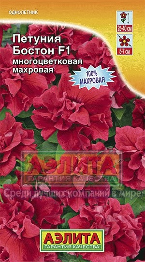 Петуния «Бостон F1», 10 шт
