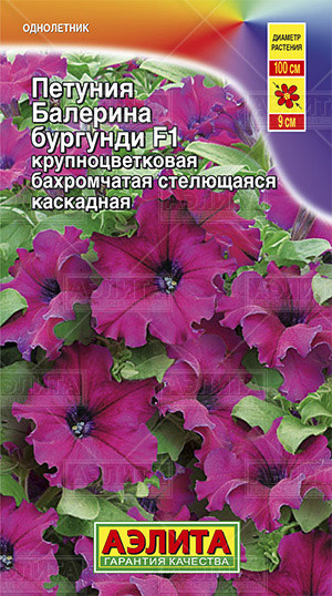Петуния «Балерина бургунди F1», 7 шт