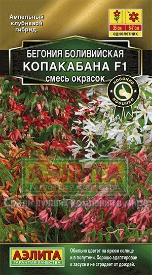 Семена. Бегония боливийская «Копакабана F1» смесь, 5 шт