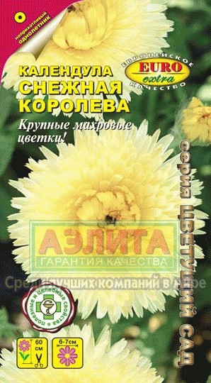 Семена. Календула «Снежная королева», 0,5 г