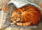 Магнит «Я кот. Я ничего не хочу решать»