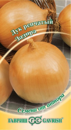 Лук репчатый «Задира», 1 г