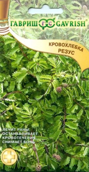 Кровохлебка «Резус», 0,5 г