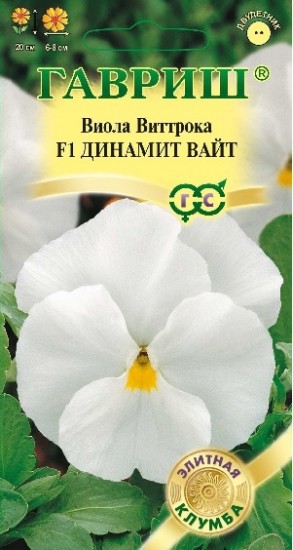 Виола Виттрока «Динамит Вайт F1», 5 шт