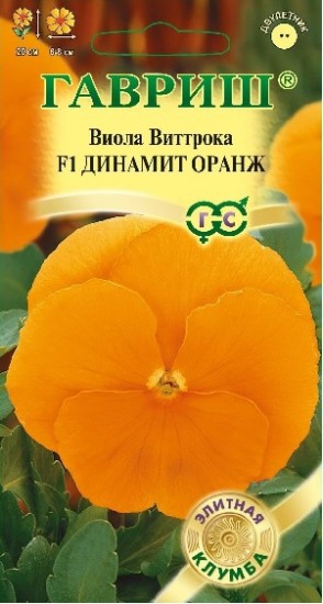 Виола Виттрока «Динамит Оранж F1», 5 шт