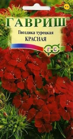 Семена. Гвоздика турецкая «Красная», 0,2 г